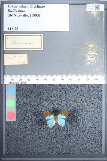 Media type: image;   Entomology 68361